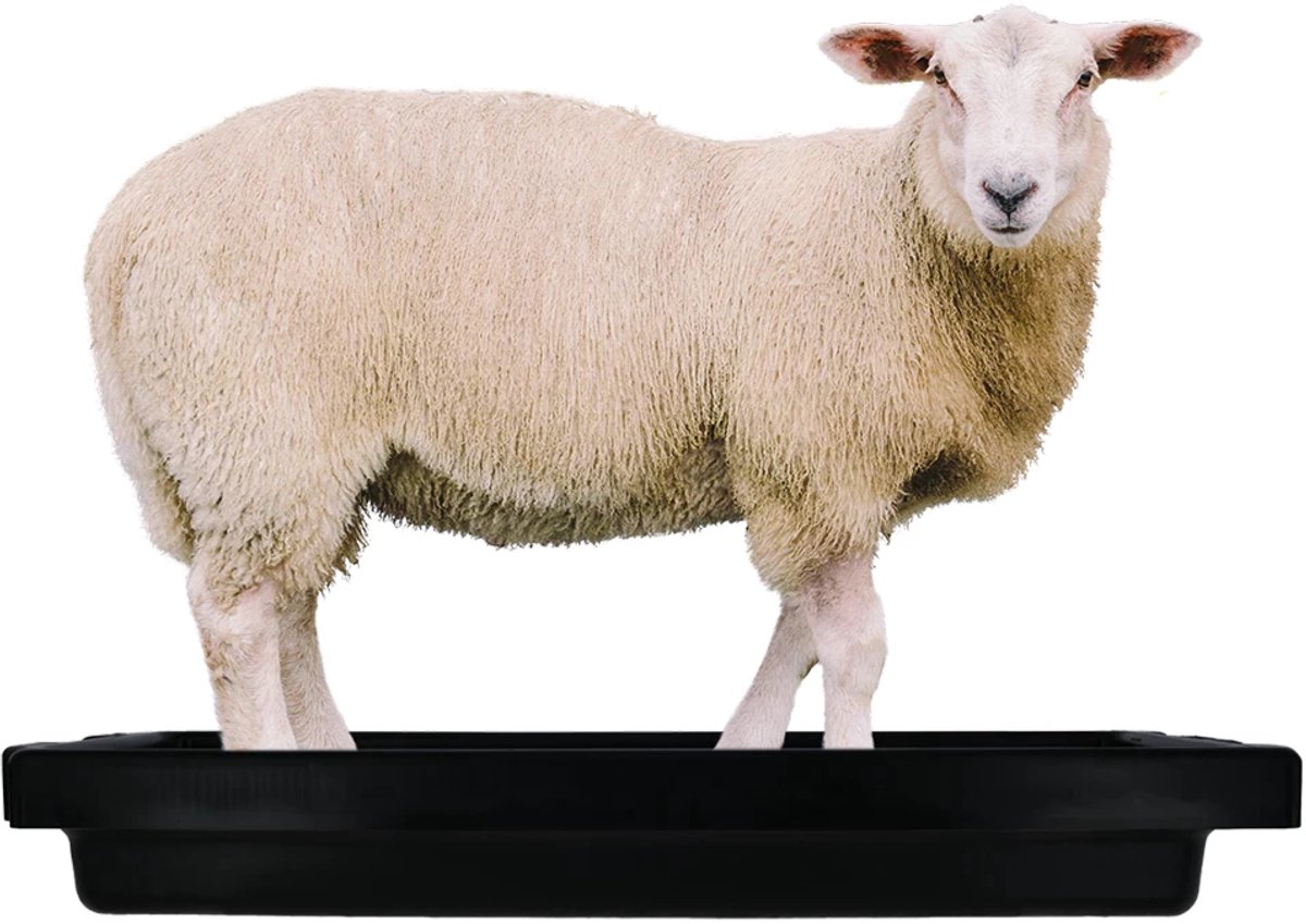 Voetbad Schaap Mini 120x40x18 cm