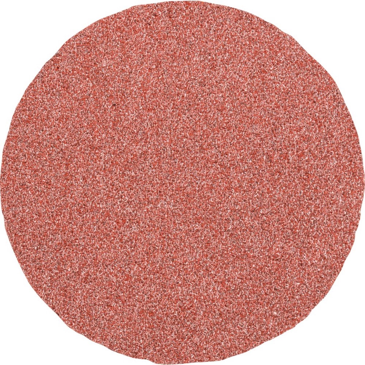 PFERD TOOLS CD 50 A 80 42750508 Schuurblad Korrelgrootte (num) 80 (Ø) 50 mm 100 stuk(s)