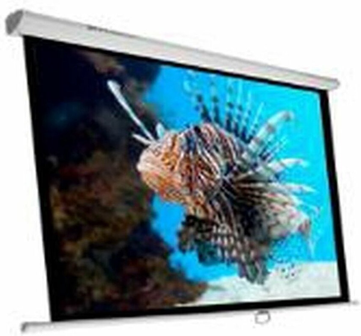 Projectiescherm Phoenix PH-240