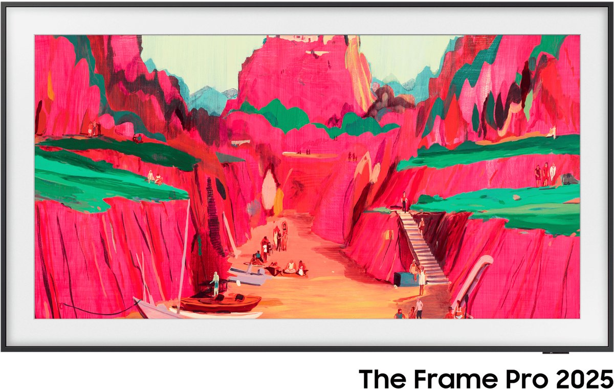 Samsung TQ65LS03F - Smart TV - 65"4K Ultra HD LED HDR Neo QLED - Zwart (2024)