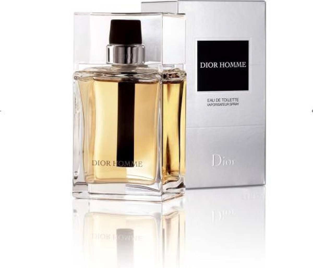 Dior Dior Homme Eau de Toilette Spray 100ml
