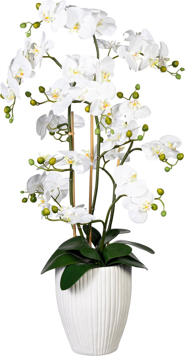 Kopu ® kunstbloem orchidee 110 cm bloempot rond phalaenopsis