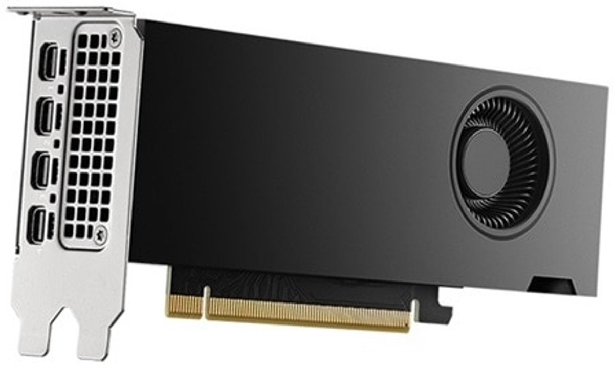 Dell NVIDIA RTX 2000 Ada Generation 16 G