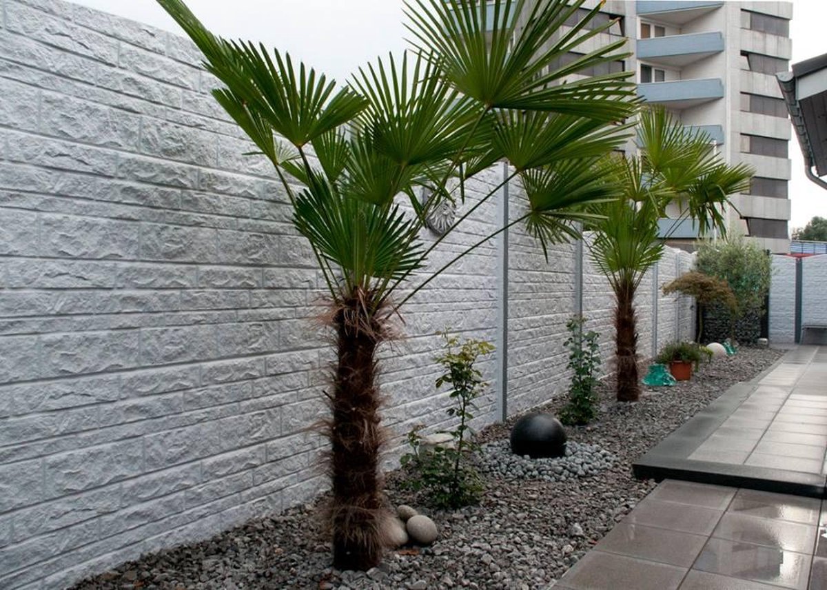 Beton schutting Fencestone dubbelzijdig 200x231cm