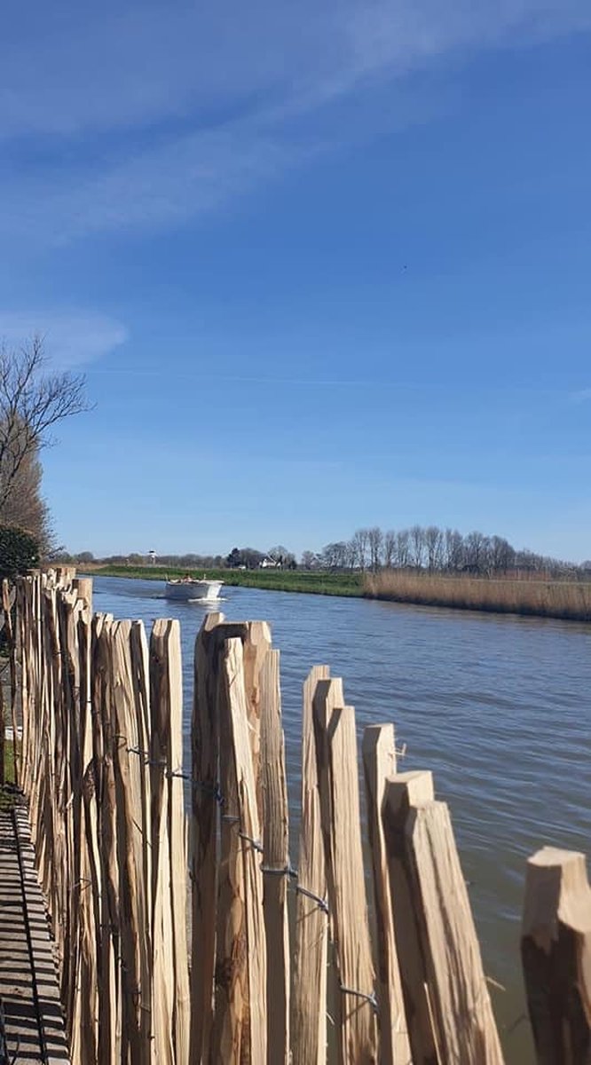 Engels schapenhek kastanje 100cmx10m latafstand 8-10 cm