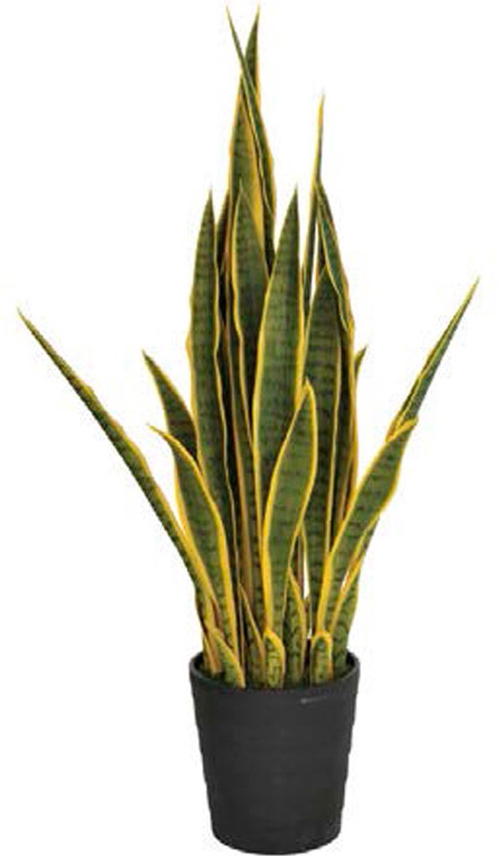 Kunstplanten Sansevieria vrouwentong 105cm bicolor