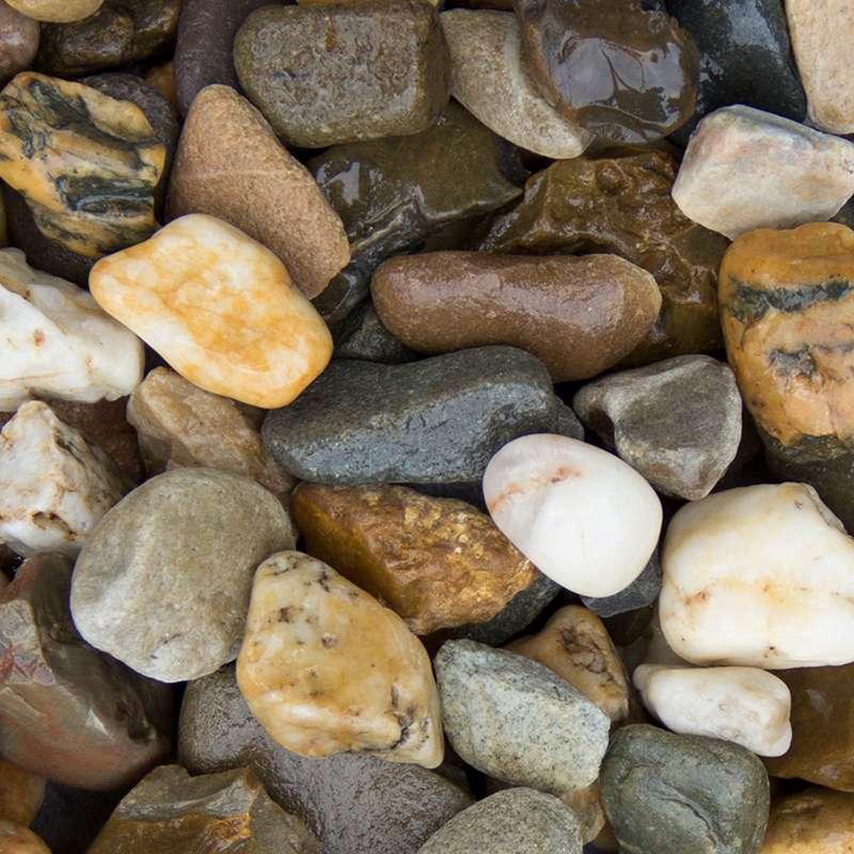 Siergrind berggrind 1000kg