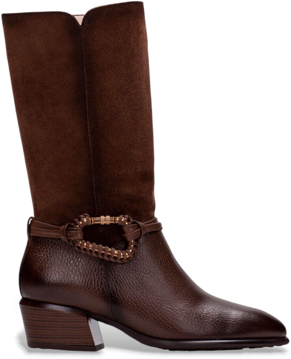 Hispanitas Phi254298