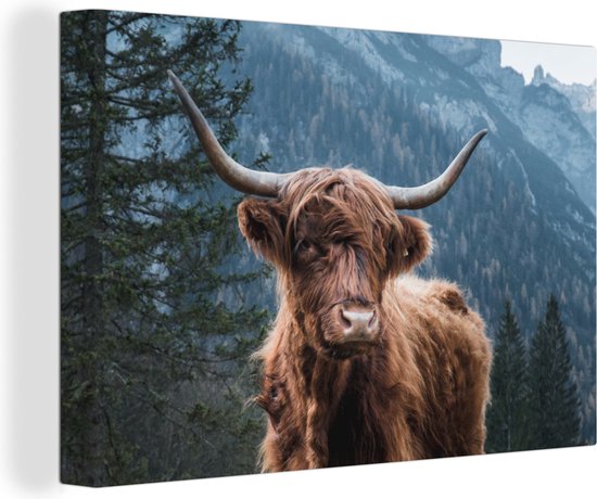 Canvas schilderij - Schotse Hooglander - Natuur - Bos - Boom - Dier - Schilderijen op canvas - Canvas doek - Foto op canvas - Woonkamer - Kamer decoratie - Wanddecoratie - 180x120 cm - Muurdecoratie