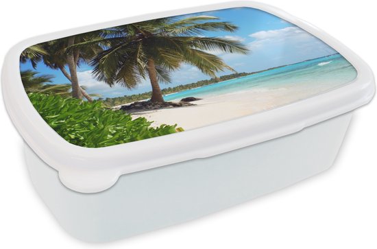 Broodtrommel Wit - Lunchbox - Brooddoos - Palmboom - Zee - Tropisch - 18x12x6 cm - Volwassenen