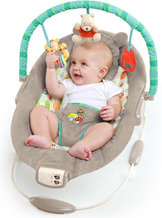 Disney Baby Winnie The Pooh Wip Met Vibraties, Automatische Uitschakelfunctie, Melodieën, Volumeregelaar, Afneembare Hoofdsteun En Speelboog, Grijs, 48.26 x 58.42 x 58.42 cm