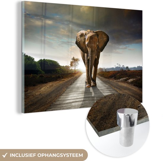 Glasschilderij olifant - Dieren - Weg - Bomen - Foto op glas - Schilderij glas - Kamer decoratie - Woonkamer - 120x80 cm - Slaapkamer - Muurdecoratie glas - Wanddecoratie - Glasplaat