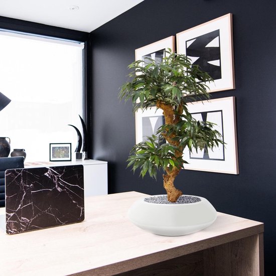 Shirakashi Bonsai x3 kunstboom op voet 80cm