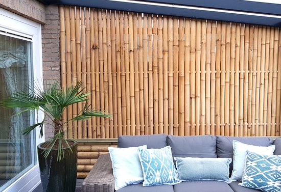 Bamboe Schutting Giant Naturel B 180cm x H 180cm / Naturel