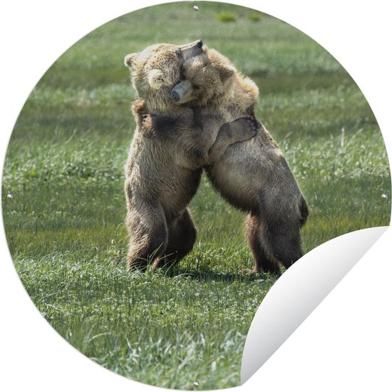 Tuincirkel Beren - Gras - Knuffel - 150x150 cm - Ronde Tuinposter - Buiten