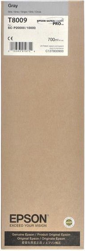 Originele inkt cartridge Epson C13T800900 Grijs