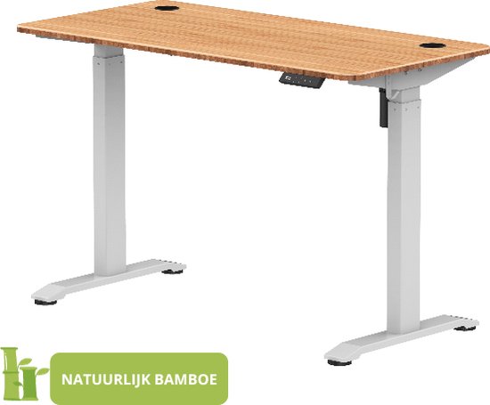 Zit Sta Bureau Elektrisch verstelbaar | 120x60 | wit - bamboe | met geheugenfunctie | 72-117
