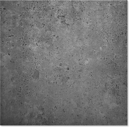SeaStone Betonlook Wandpaneel 24 stuks