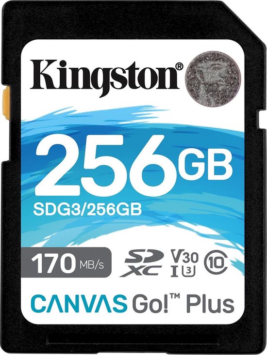 SD Memory Card Kingston SDG3/256GB 256GB 256 GB