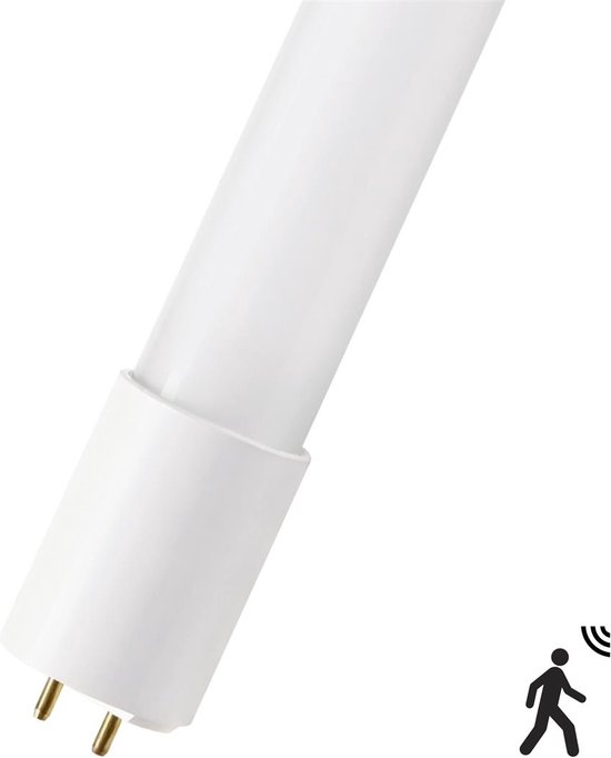 Bailey | LED Buislamp | G13 | 18W