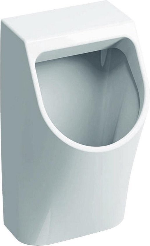 Geberit 300 urinoir 90 32,5x30cm met achterinlaat wit