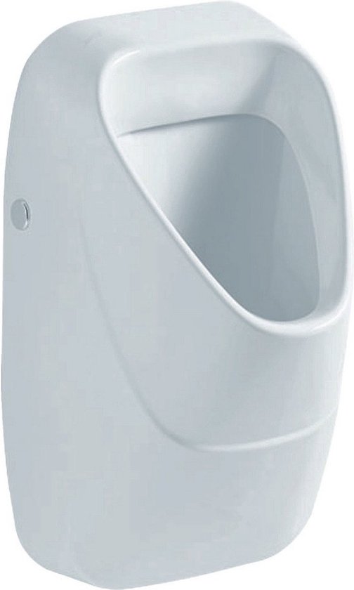 Geberit 300 urinoir met achterinlaat 34x34cm wit