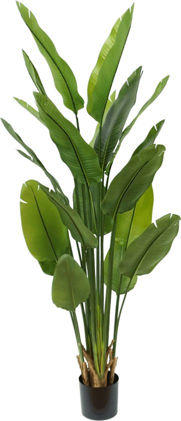 Strelitzia Kunstplant 180cm | Kunstplanten voor Binnen | Grote kunstplant Strelitzia | Nepplanten | Strelitzia kunstplanten | Levensechte kunstplant