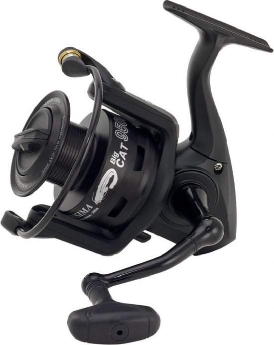 RYOBI Ecusima BigCat 4+1 6500