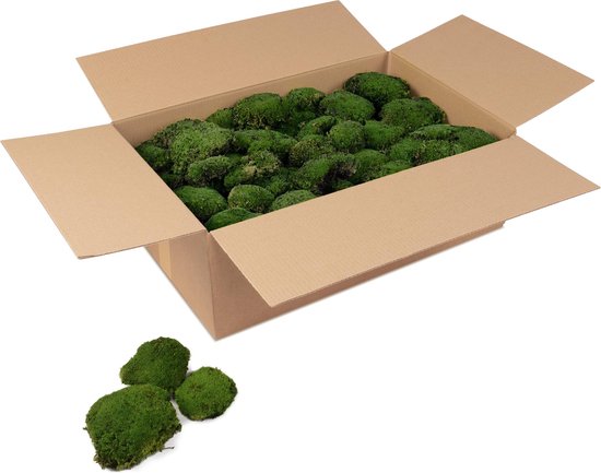 Doos bolmos - kleur mos: Forest Green (voor o.a. decoratie, mosschilderij of moswand).