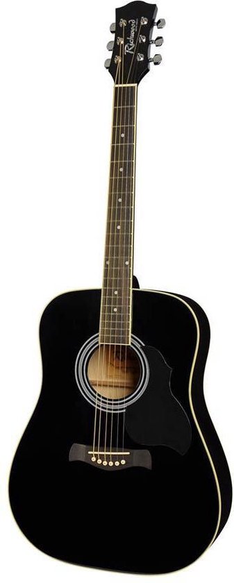 Richwood artist series akoestische gitaar