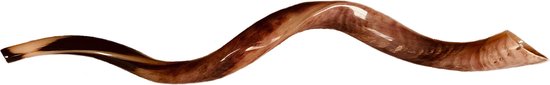Shofar | Sjofar |  75CM