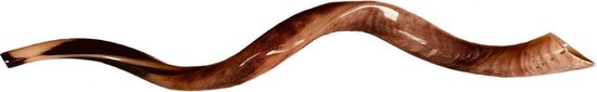Shofar | Sjofar | 70CM