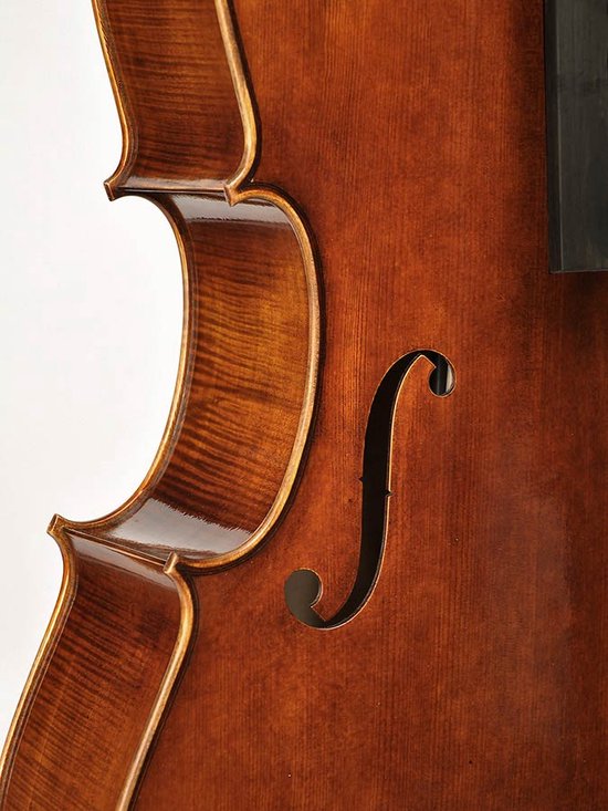 Cello 4/4 Rudolph Conservatoir RC-2044-A massief