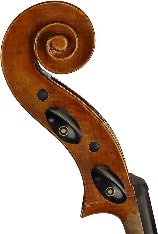 Cello 4/4 Rudolph Conservatoir RC-2044 massief
