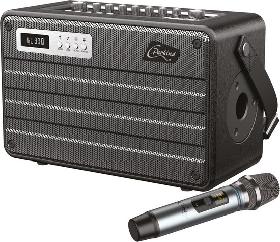 Draagbare COMBO speaker met vele ingangen voor de audio freak - 100W