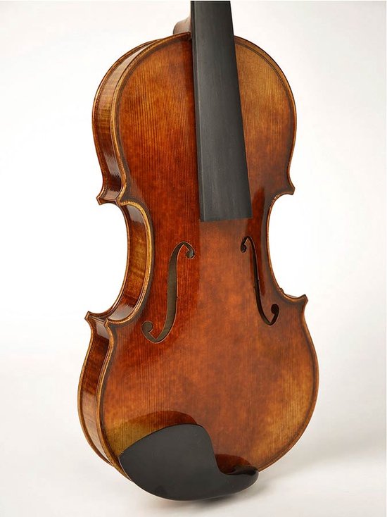 Viool Rudolph RV-2044 4/4