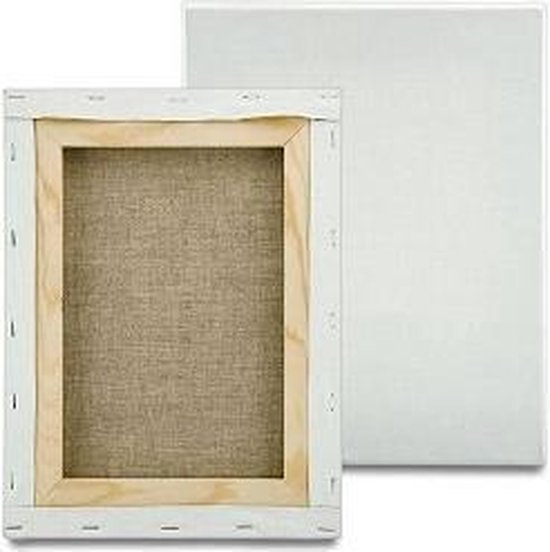 CO Professional Canvas Schildersdoek 100x140