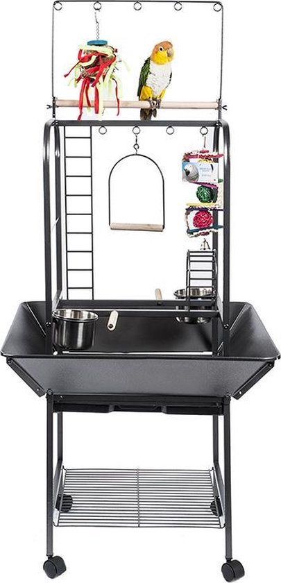 papegaai en parkieten standaard nieuw