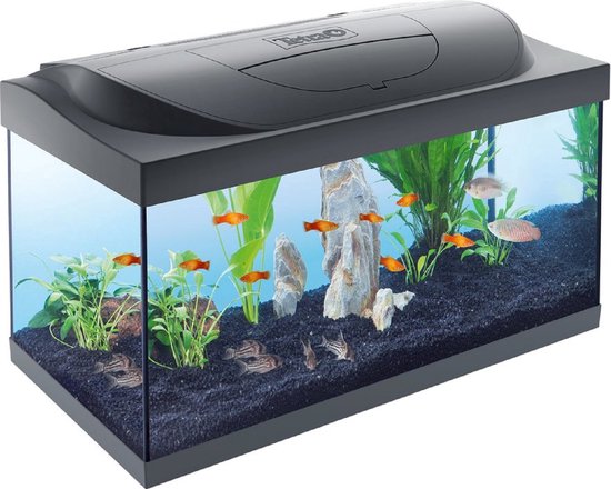 Starter Line aquarium zwart led 54 Liter met filter en verwarming