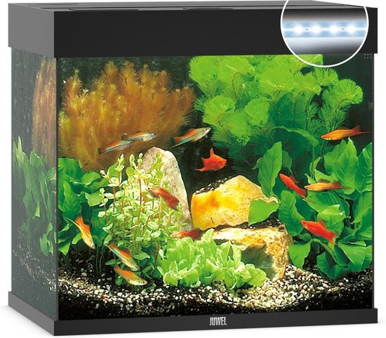 Juwel Aquarium Lido 120 Led - Zwart - 61 x 41 x 58 cm - Ca. 120 L