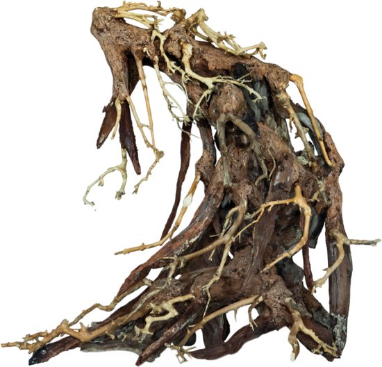 Bonsai root large | Hout decoratie aquarium