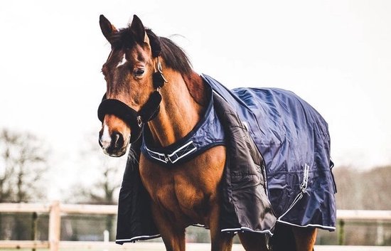 Equi-M Combi-deken 300gram 195cm