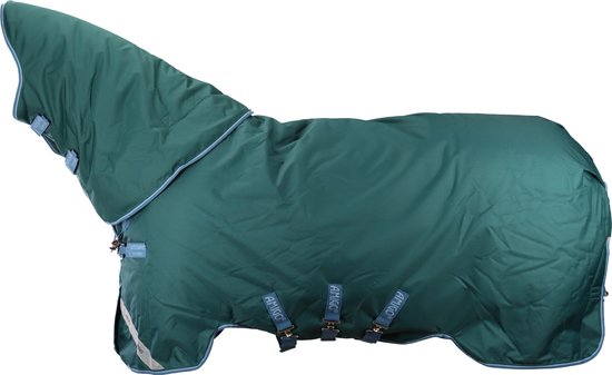 HorseWare Amigo Bravo 12 Plus Turnout 400g - Storm Green/ Turquoise - Aqua & Blue - Maat 125/175/5.9