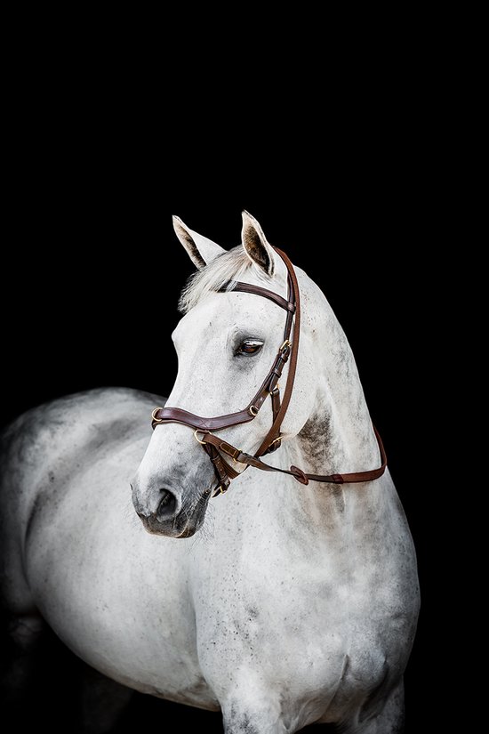 Horseware Rambo Micklem 2 Multi Hoofdstel - maat Cob - havana