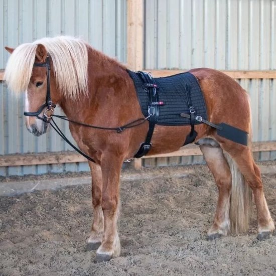 Eques - Longeersysteem