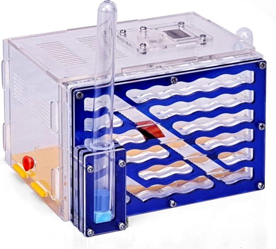 Livano Mierenboerderij - Mierenhotel - Mierenkolonie - Antfarm - Mieren Aquarium - Mierenhuis - Voor Mieren - Mierenhuis