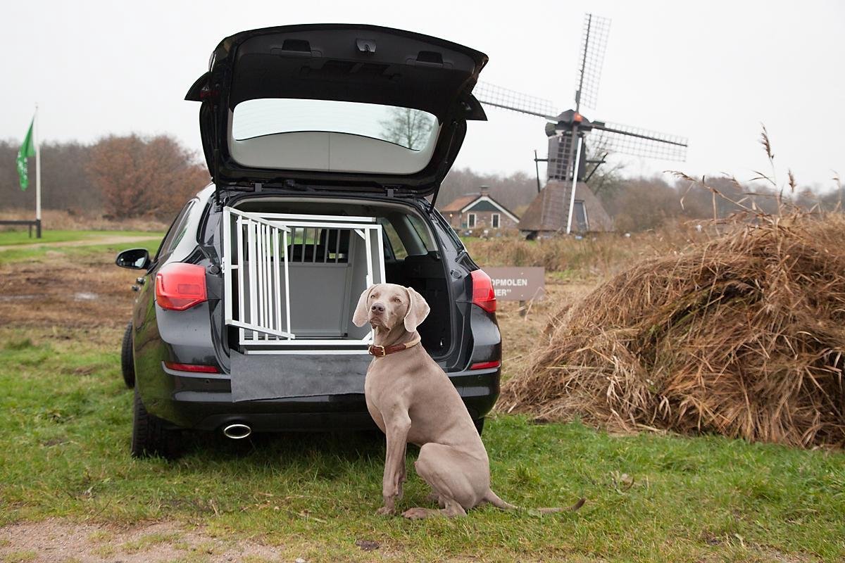 Hundos Autobench Max MMax M