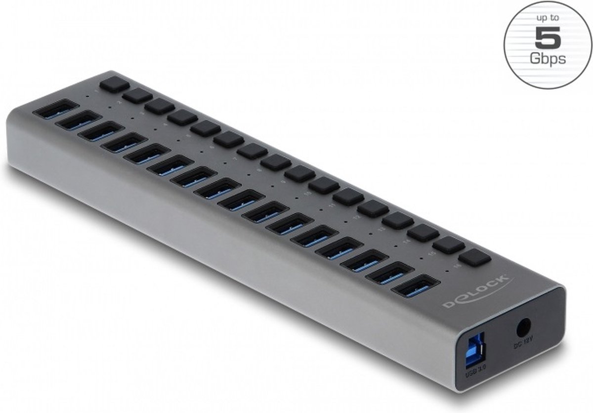 DeLOCK USB hub met 16 poorten en aan/uit schakelaars - USB3.0 - externe 12V voeding / grijs - 1 meter