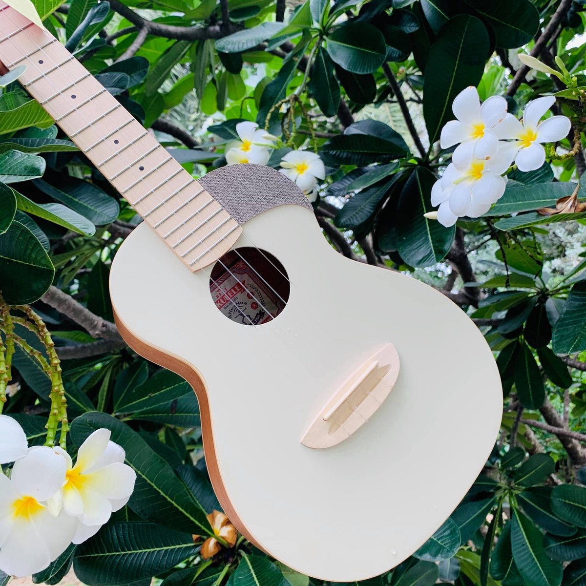 aNueNue Concert Ukelele - Color Series  - Almond Milk - UC10AM