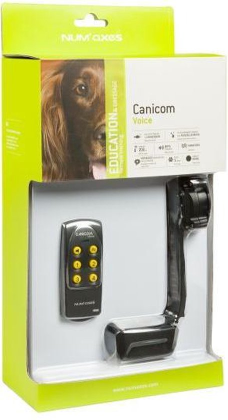 Numaxes canicom voice trainingsband